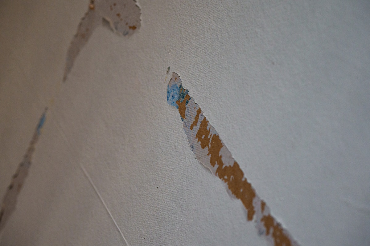 Sewage Cleanup service in Grand Forks, ND